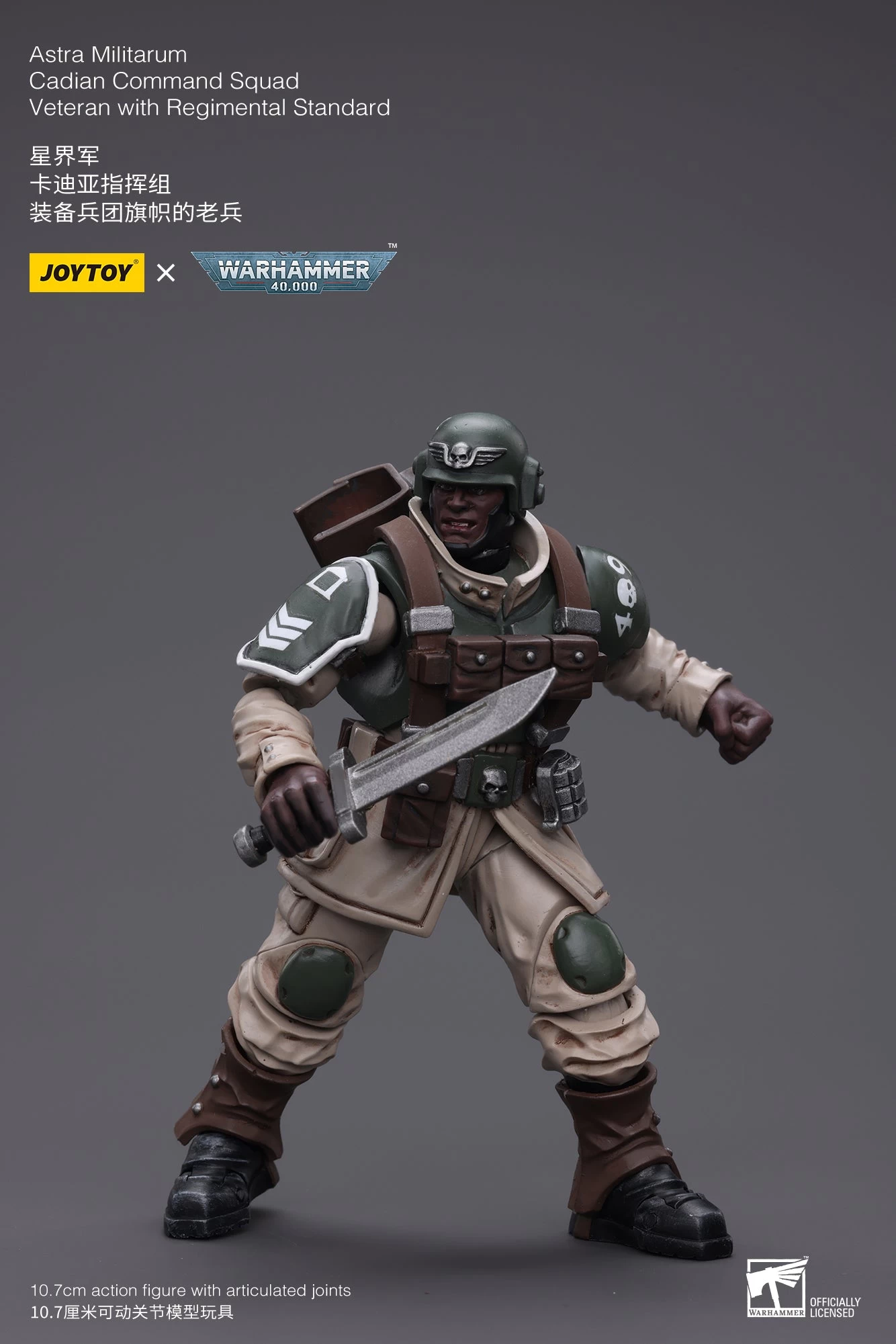 Joy Toy Warhammer 40k - Astra Militarum Cadian Command Squad Veteran With Regimental Standard 1/18 Scale Action Figures 5 Joy Toy Warhammer 40k - Astra Militarum Cadian Command Squad Veteran With Regimental Standard 1/18 Scale Action Figures - Image 3