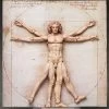 Figma SP-075 Vitruvian Man -Doll Toys Shop figma sp 075 vitruvian man 01